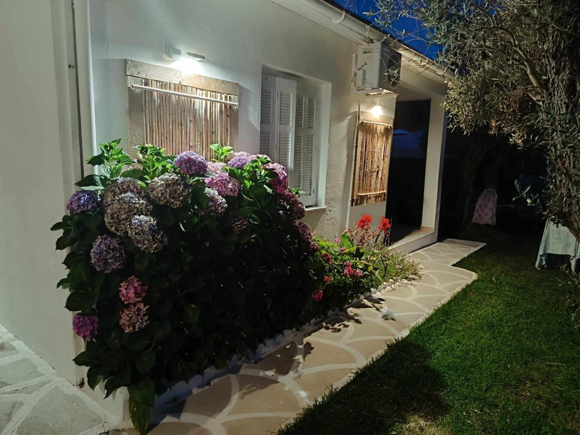 Salty Seashells Skiathos Exterior foto